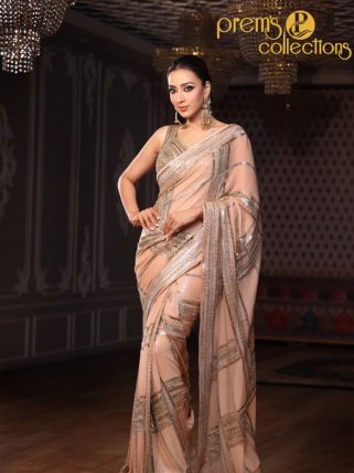 Ruhani Tissue Saree